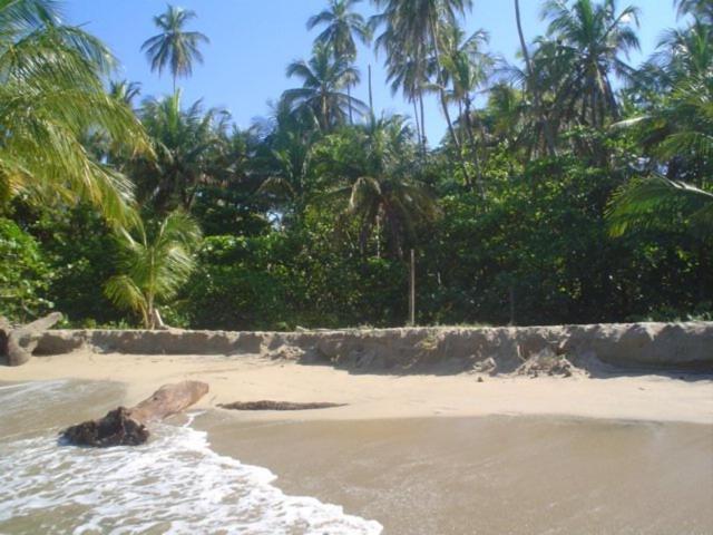 Sunrise Beach Hotel Puerto Viejo de Talamanca Exterior foto